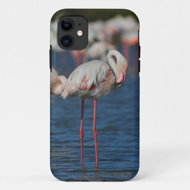 Coque iphone flamant rose (Dos)