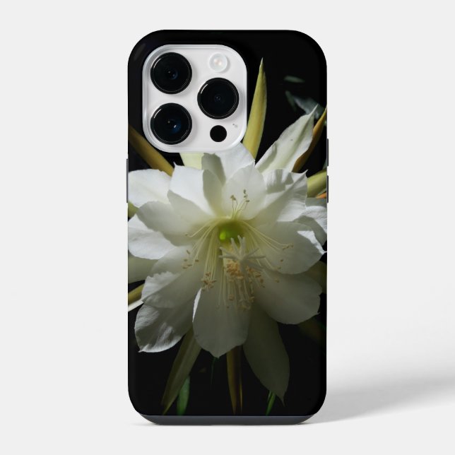 Coque iPhone Fleur de cactus (Verso)