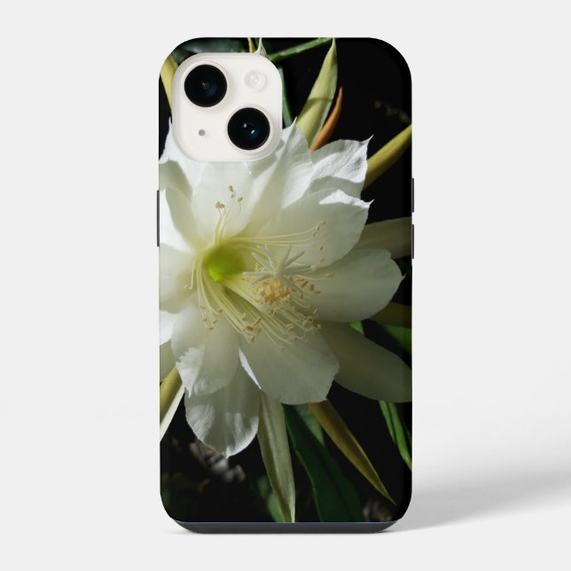 Coque iPhone Fleur de cactus (Verso)