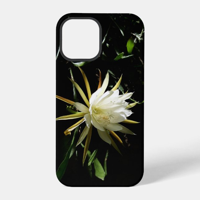 Coque iPhone Fleur de cactus (Verso)