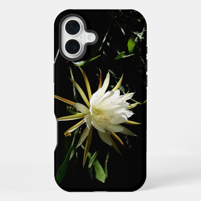 Coque iPhone Fleur de cactus (Verso)