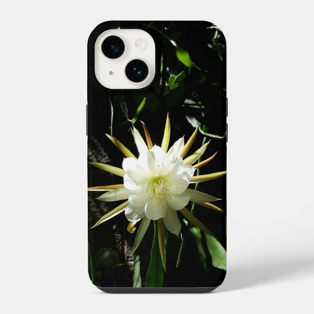 Coque iPhone Fleur de cactus (Verso)
