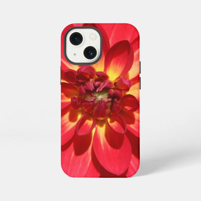 Coque iPhone Fleur de Dahlia Red Fire (Verso)