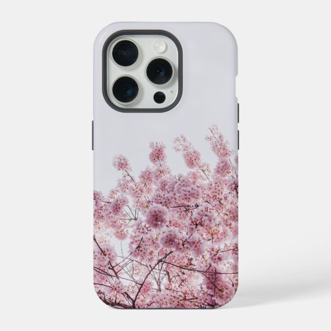 Coque iPhone Fleur de Fleur de Cerisier Rose (Verso)