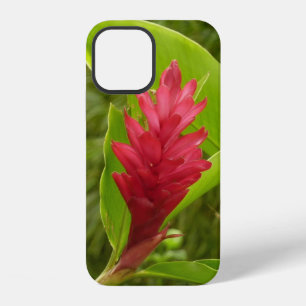 Coque iPhone 12 Fleur de Gingembre Rouge (Alpinia) Tropicale