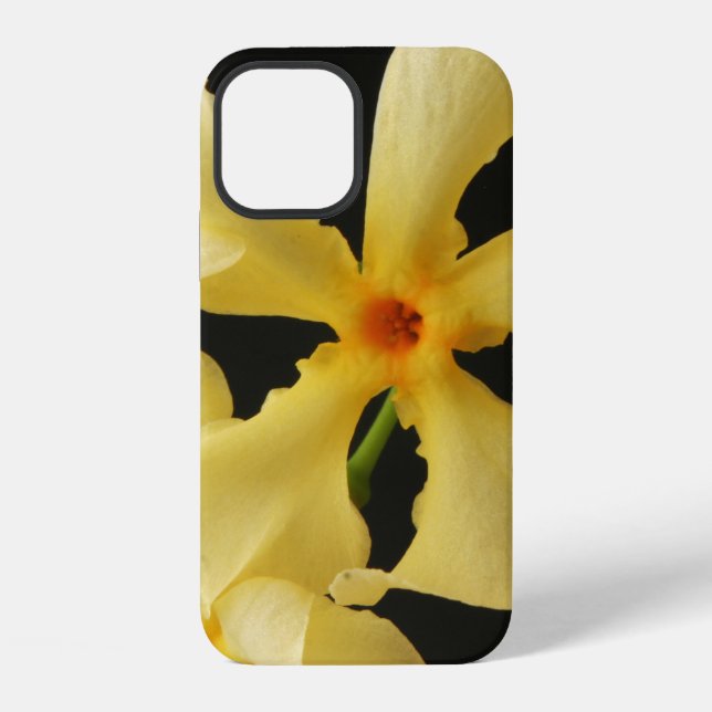 Coque iPhone Fleur de jasmin étoilé ipha (Verso)