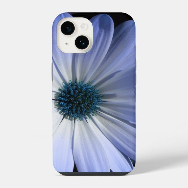Coque iPhone Fleur de Marguerite Bleue (Verso)