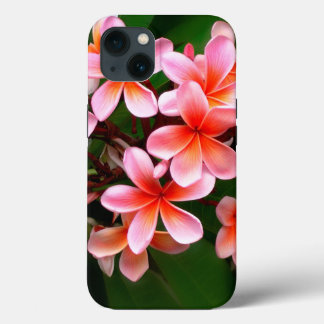 Etui iPhone 13 Fleur de Plumeria vert rose tropical Photo florale
