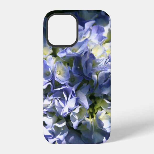 Coque iPhone Fleur d'hortensia bleu clair (Verso)