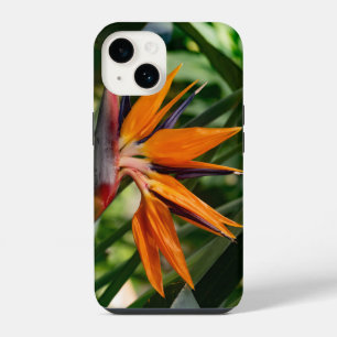 Coque Pour iPhone 14 Fleur d'oiseau de paradis.