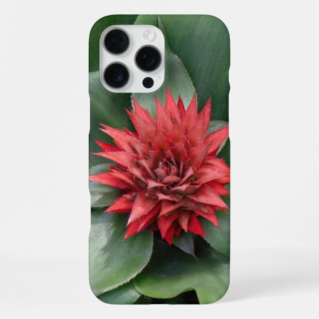 Coque iPhone - Fleur rouge tropicale (Verso)