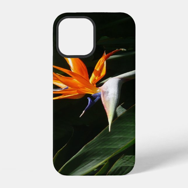 Coque iPhone Fleur tropicale orange oiseau de paradis (Verso)