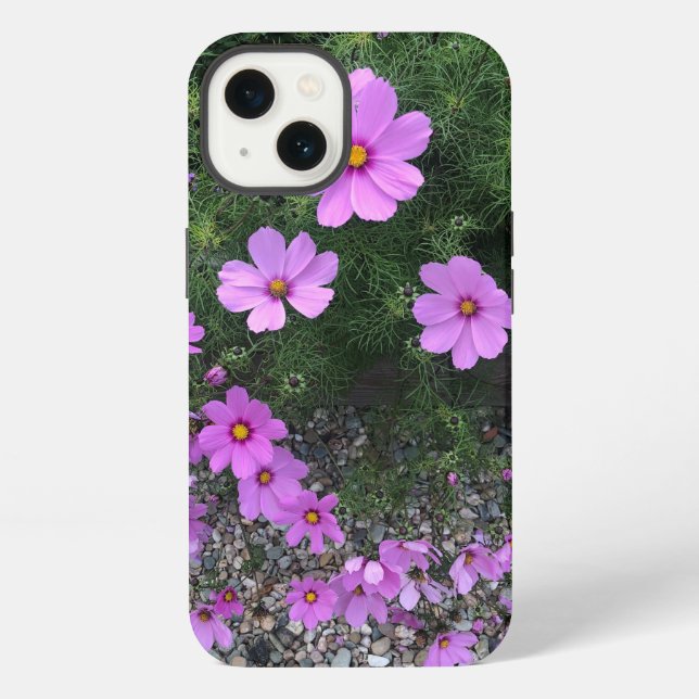 Coque iPhone Fleurs de Cosmos avec des galets sur un (Verso)