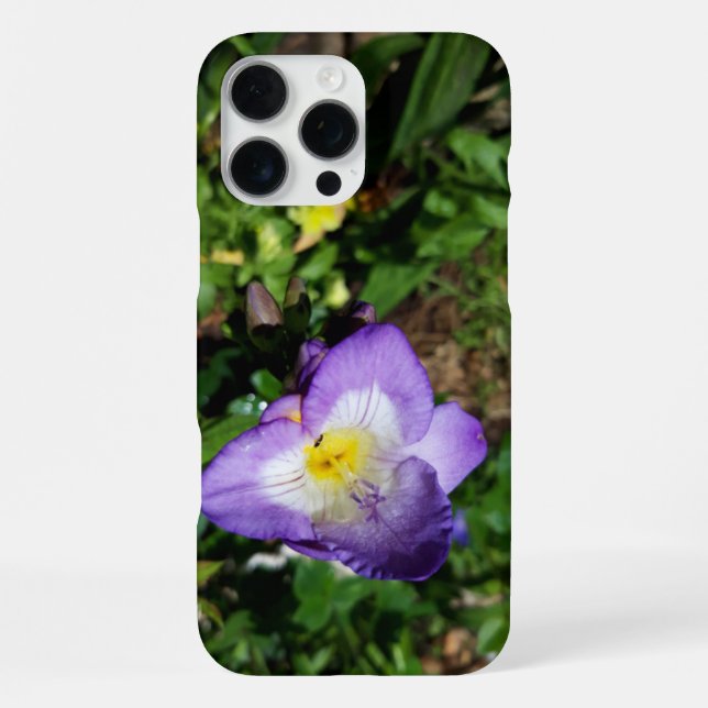 Coque iPhone Fleurs de Freesia Violettes (Verso)