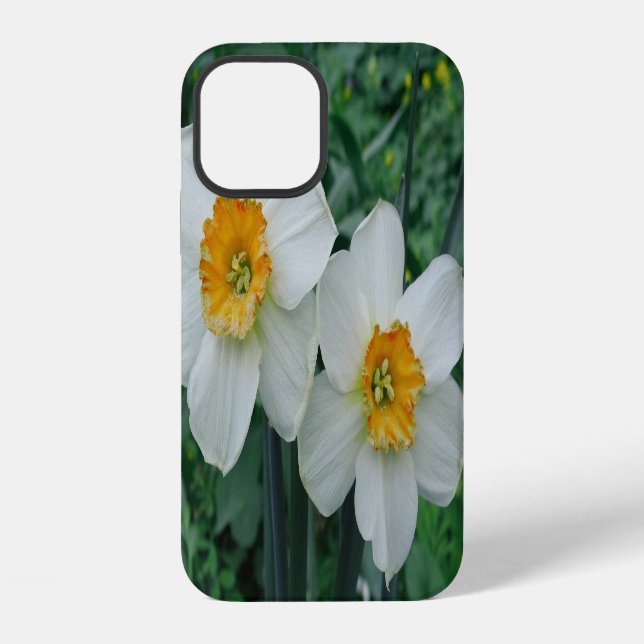 Coque iPhone Fleurs de jonquille (Verso)
