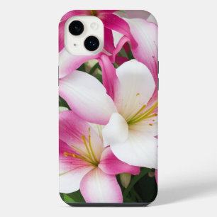 fleurs de lys blanc et rose