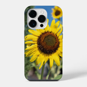 Coque Pour iPhone 14 Plus Fleurs de soleil vibrantes