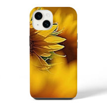 Fleurs du désert