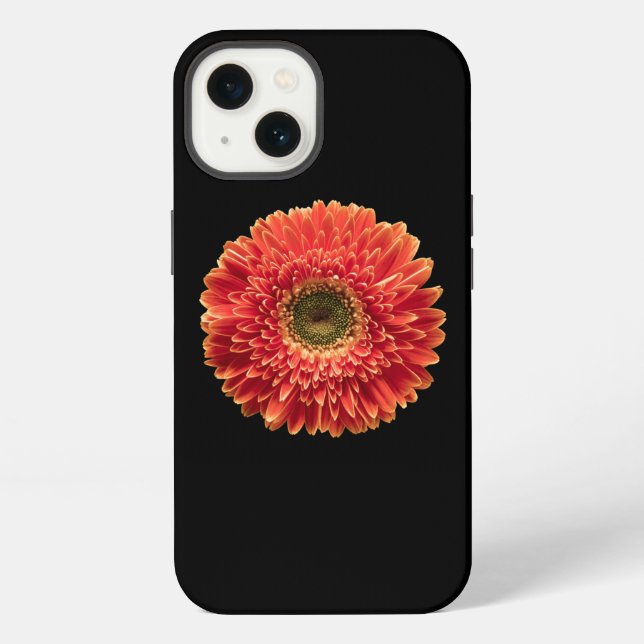 Coque iPhone Fleurs | Gerbera Daisy Orange (Verso)