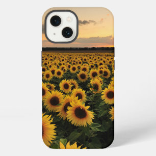 Etui iPhone 13 Fleurs Terrain de tournesol
