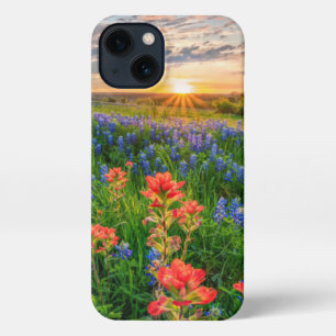 Etui iPhone 13 Fleurs Texas Bluebonnets & Indian Paintbrush