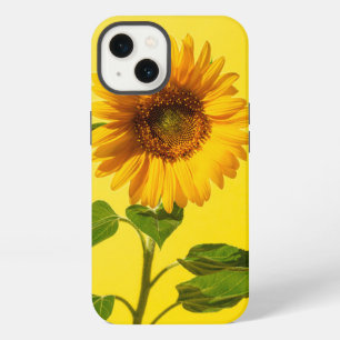 Etui iPhone 13 Fleurs Tournesol sur fond jaune