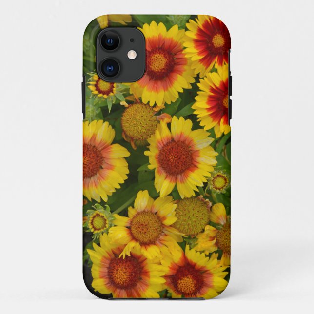 Coque iphone floral d'échinacée orange et jaune (Dos)