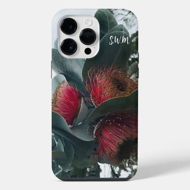 Coque iPhone Flores d'eucalyptus roses australiens (Verso)