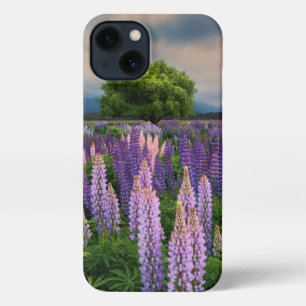 Etui iPhone 13 Flowers (homonymie)   Lupine Field à New Zealand