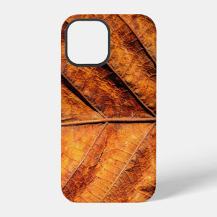 Coque iPhone 12 Fond de texture de feuille sèche