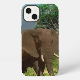 Etui iPhone 13 "Force sereine : Le taureau éléphant paissant"