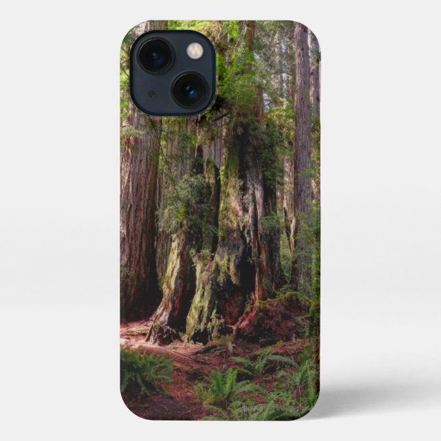 Coque iPhone Forest | Séquwood Forest California (Verso)