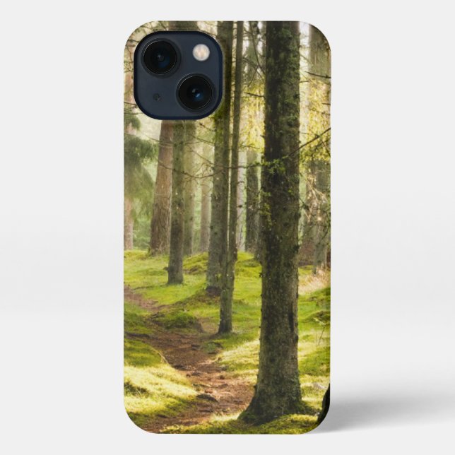 Coque iPhone Forêt | Forêt boréale Suède (Verso)