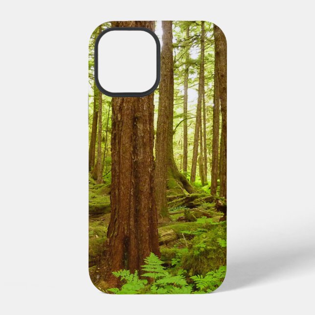 Coque iPhone Forêt pluviale tempérée d'Alaska (Verso)