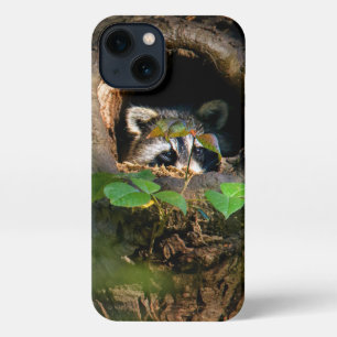 Etui iPhone 13 Forêt   Raccoon Peeking