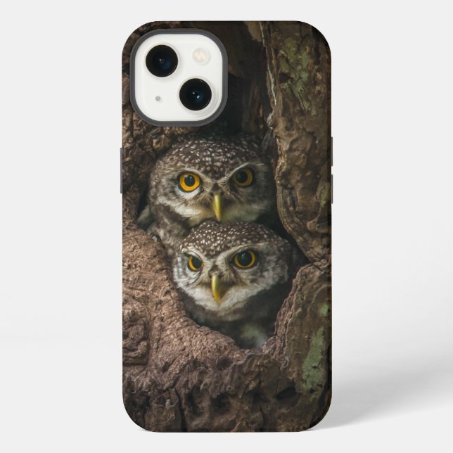 Coque iPhone Forêts | Deux hiboux regardant (Verso)