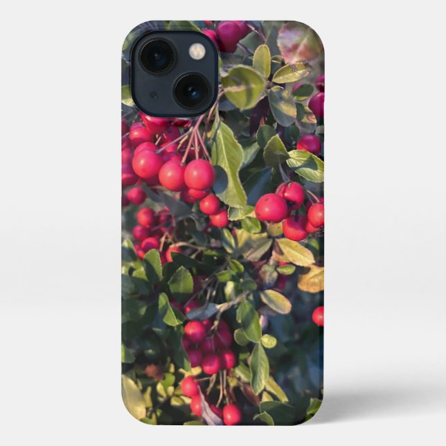 Coque iPhone Fruit d'automne (Verso)