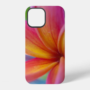 Coque iPhone 12 Fuchsia Tropical Fleur de Plumeria Case-Mate i