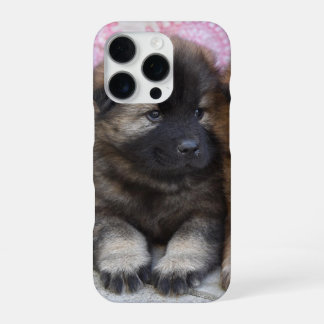 Coque iPhone 16 Pro Funda de iPhone 16 con foto de perrito marrón