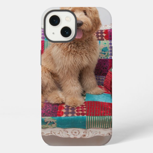 Coque iPhone Getty Images | Goldendoodle mignon (Verso)