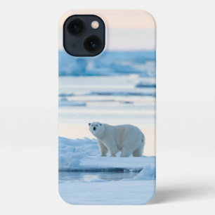 Etui iPhone 13 Glace et neige   Ours polaire Iceberg Norvège