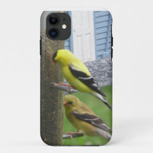 Coque iphone Goldfinches