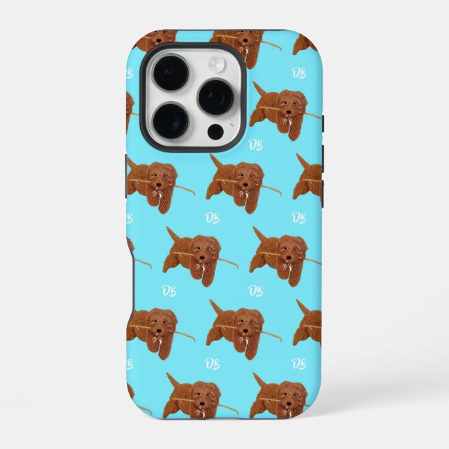 Coque iPhone Goldie Golden Doodle Bleu (Verso)