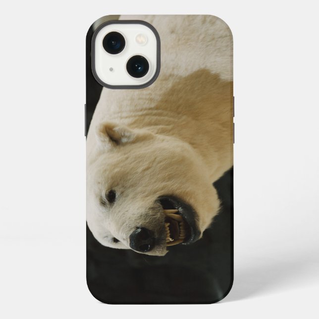 Coque iPhone Graine d'ours polaire (Verso)