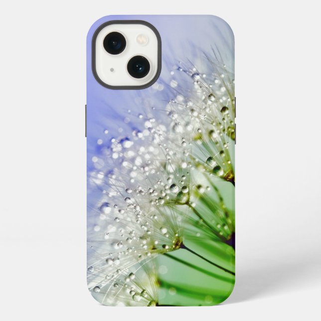 Coque iPhone Graines de pissenlit avec gouttelettes de rosée (Verso)