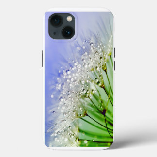 Etui iPhone 13 Graines de pissenlit avec gouttelettes de rosée