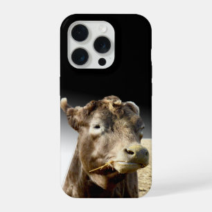 Coque iPhone 15 Pro Grande vache brune en train de mâcher du foin,