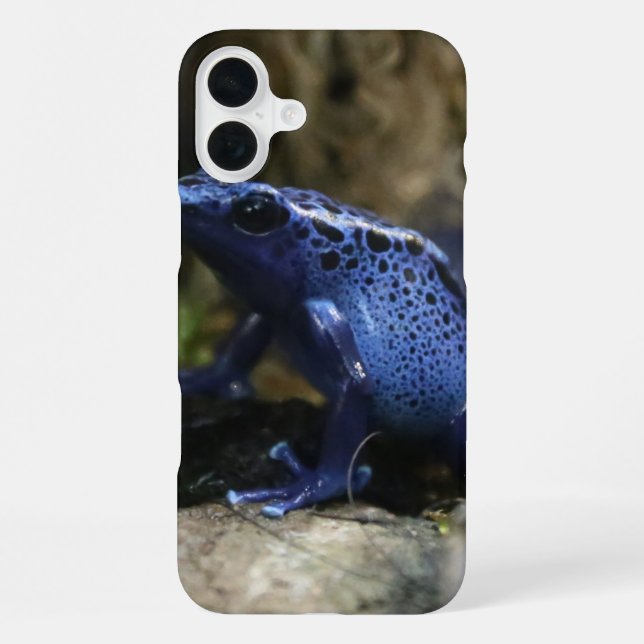 Coque iPhone Grenouille flèche empoisonnée bleue (Verso)