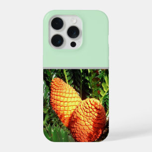 Coque iPhone 15 Pro Gros pods de graines de pin africain orange,