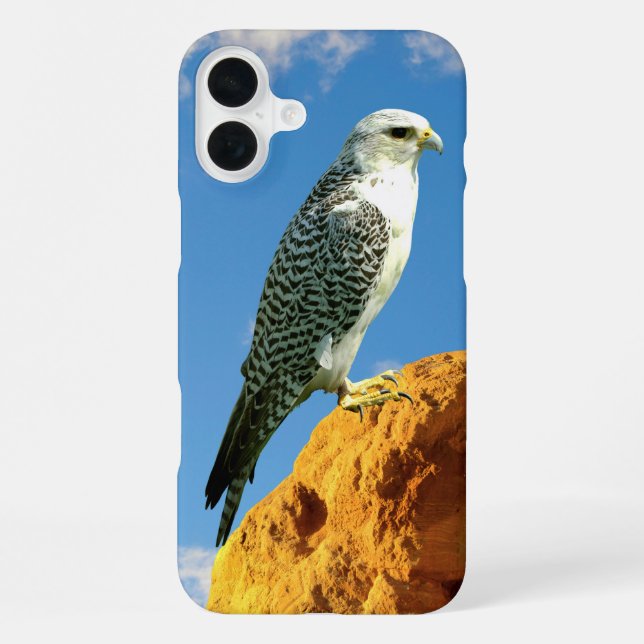 Coque iPhone Gyrfalcon perché sur un étui de téléphone (Verso)